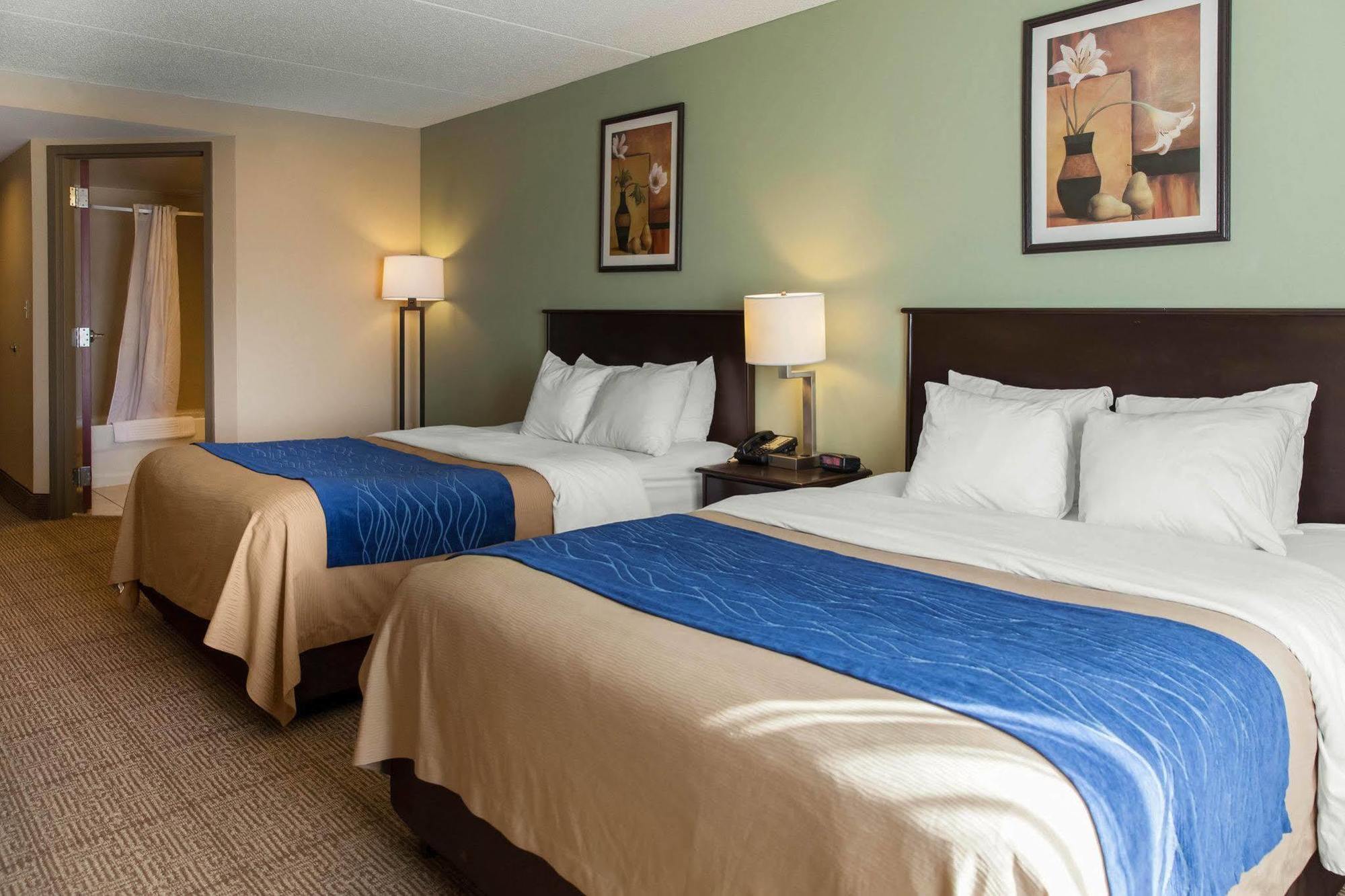 Comfort Inn Near Quantico Main Gate North Dumfries Kültér fotó